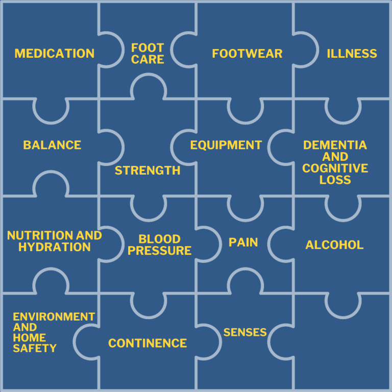 Jigsaw with pieces marked medication, foot care, footwear, illness, balance, strength, equipment, dementia and cognitive loss, nutrition and hydration, blood pressure, pain, alchohol, environment and home safety, continence and senses