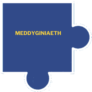 Meddyginiaeth